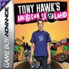 Tony Hawk's American Sk8land Box Art Front